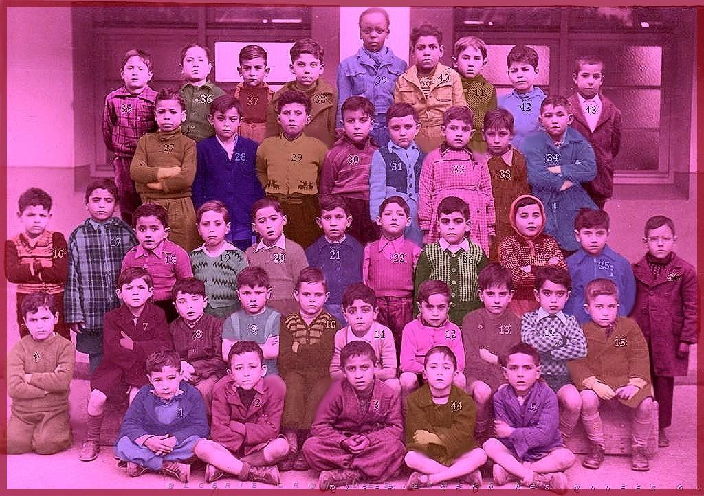 ECOLE SAINT ANDRE GARCONS 1951 CP.jpg